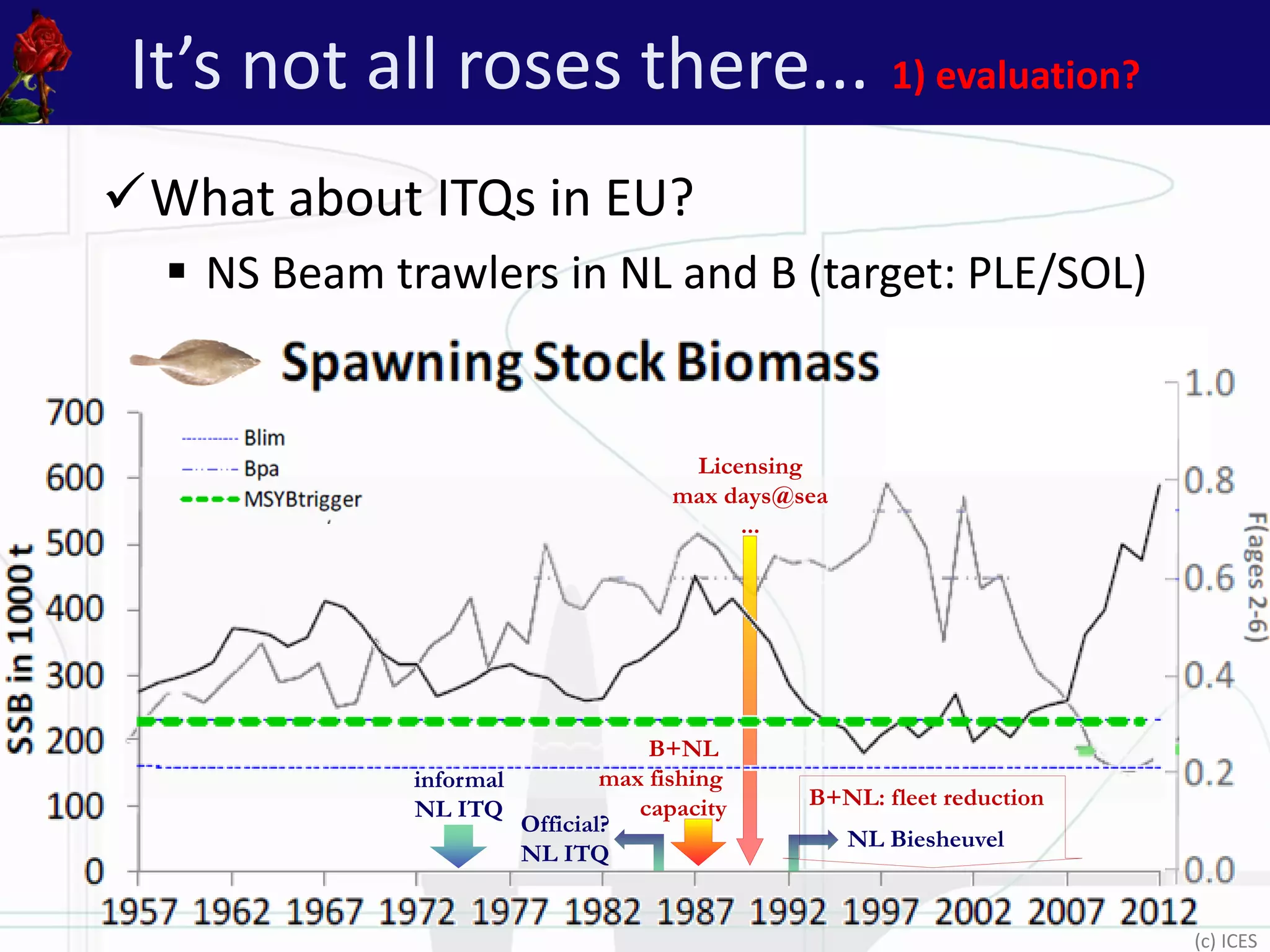 It’s not all roses there... 1) evaluation?
What about ITQs in EU?
 NS Beam trawlers in NL and B (target: PLE/SOL)
Licensing
max days@sea
...
B+NL: fleet reduction
B+NL
max fishing
capacity
(c) ICES
informal
NL ITQ
NL Biesheuvel
Official?
NL ITQ
 