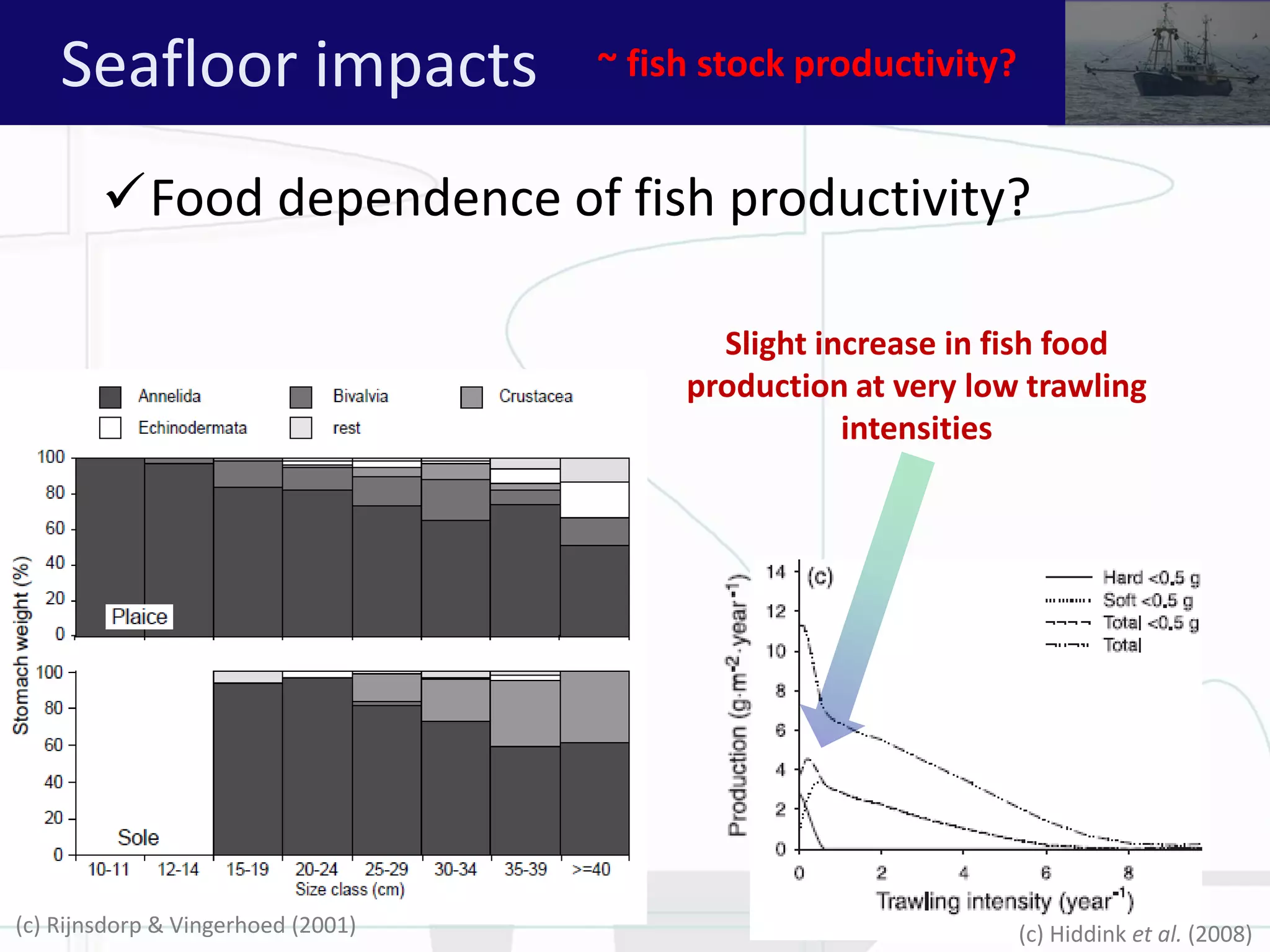 Food dependence of fish productivity?
(c) Rijnsdorp & Vingerhoed (2001)
Slight increase in fish food
production at very low trawling
intensities
(c) Hiddink et al. (2008)
Seafloor impacts ~ fish stock productivity?
 
