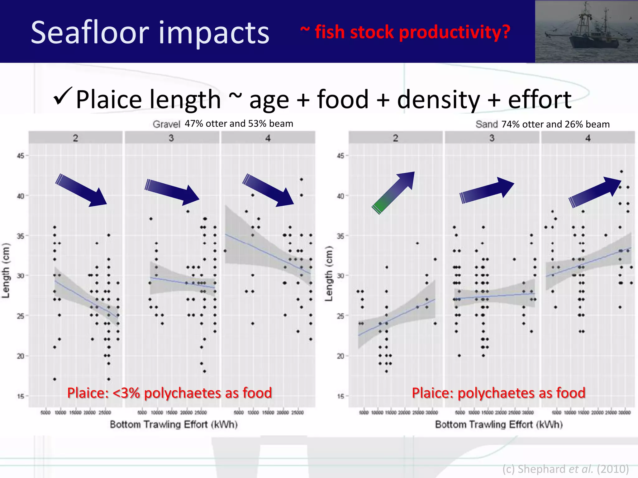 Plaice length ~ age + food + density + effort
(c) Shephard et al. (2010)
74% otter and 26% beam47% otter and 53% beam
Plaice: polychaetes as foodPlaice: <3% polychaetes as food
Seafloor impacts ~ fish stock productivity?
 
