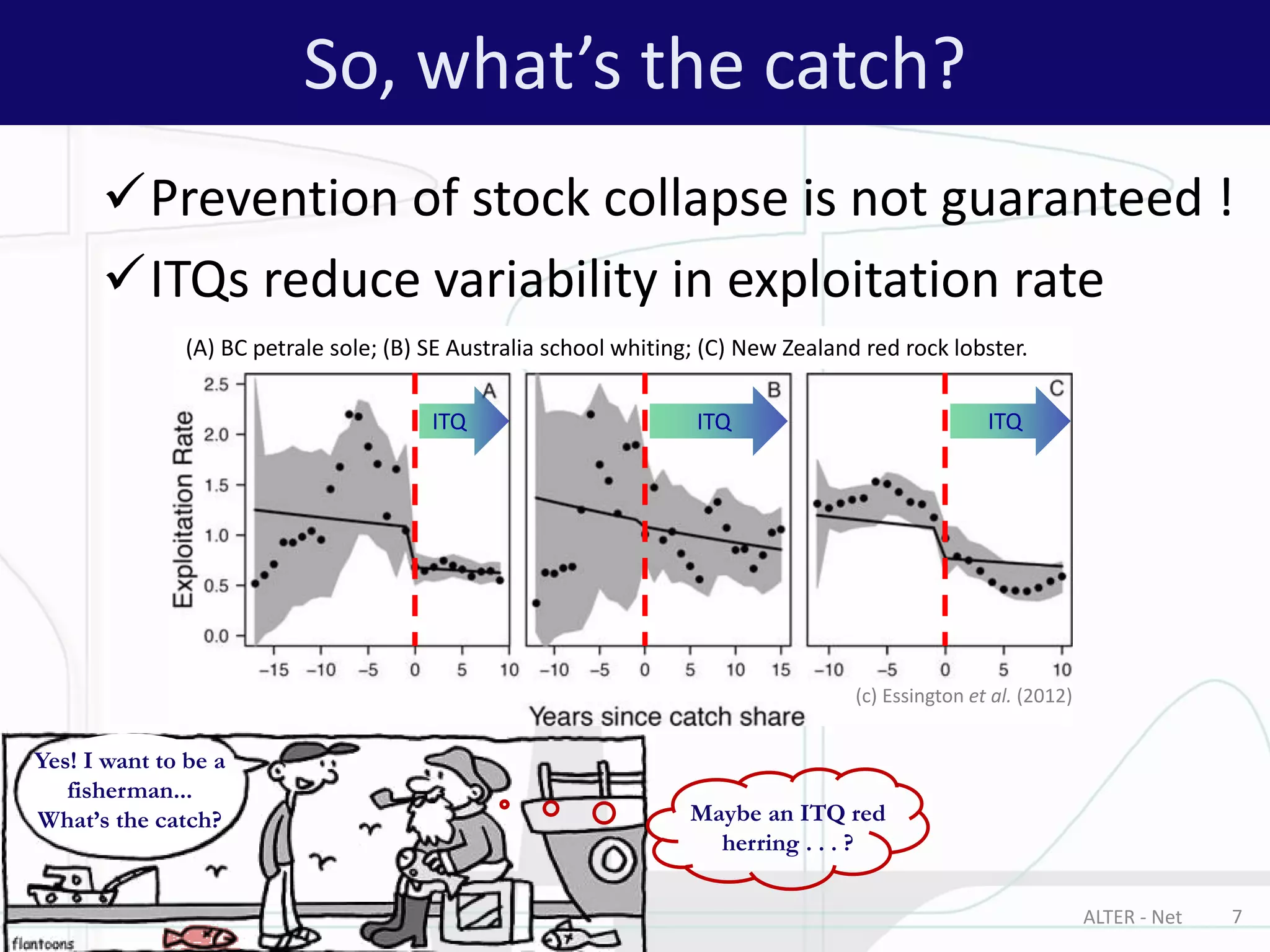 Prevention of stock collapse is not guaranteed !
ITQs reduce variability in exploitation rate
ALTER - Net 7
So, what’s the catch?
Yes! I want to be a
fisherman...
What’s the catch? Maybe an ITQ red
herring . . . ?
(A) BC petrale sole; (B) SE Australia school whiting; (C) New Zealand red rock lobster.
(c) Essington et al. (2012)
ITQ ITQ ITQ
 