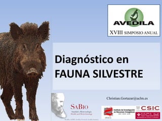 XVIII SIMPOSIO ANUAL

Diagnóstico en
FAUNA SILVESTRE
Christian.Gortazar@uclm.es

 