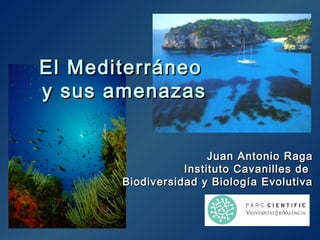 El Mediterráneo
y sus amenazas


                       Juan Antonio Raga
                  Instituto Cavanilles de
       Biodiversidad y Biología Evolutiva
 