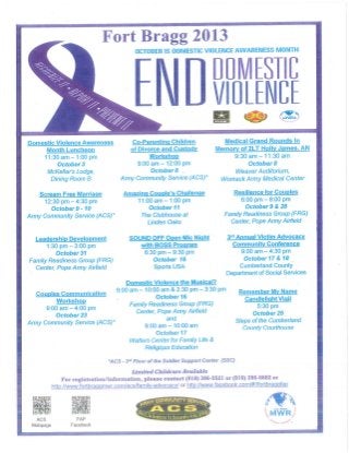 2013 End Domestic Violence