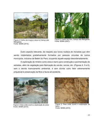 23
Figura 3: Cultivo de noni, Campo das Mangabas.
Fonte: SEMA (2007).
Outro aspecto relevante, diz respeito aos novos núcleos de moradias que vêm
sendo implantados gradativamente formados por pessoas oriundas de outros
municípios, inclusive de Belém do Pará, ocupando aquele espaço desordenadamente.
A exploração de minério como areia e barro para construção e pavimentação de
estradas, além da vegetação para fabricação de carvão, cercas, etc. (Figuras 4, 5 e 6),
sem o devido licenciamento ambiental, é sem dúvida outro fator extremamente
prejudicial à preservação da flora e fauna ali existente.
Figura 5: Área onde ocorre a exploração de
barro.
Fonte: SEMA (2010).
Figura 2: Cultivo de mogno e teca no Campo das
Mangabas.
Fonte: SEMA (2010).
Figura 4: Área onde ocorre a exploração de areia.
Fonte: SEMA (2010).
 