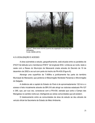 25
Figura 7: Área onde ocorreu queima da vegetação no Campo das
Mangabas.
Fonte: SEMA (2010).
4.2 LOCALIZAÇÃO E ACESSO
A área submetida a estudo, geograficamente, está situada entre os paralelos de
0º42’5’’de latitude sul e meridianos 0º48’5’’ de longitude WGr. Limita-se ao norte, leste e
oeste com a Resex do Município de Maracanã criada através do Decreto de 10 de
dezembro de 2002 e ao sul com parte do trecho da PA-430 (Figura 8).
Abrange uma superfície de 7.408ha e juridicamente faz parte do território
Municipal de Maracanã, que pertence à Mesorregião Nordeste Paraense e Microrregião
do Salgado.
A distância até a capital do Estado do Pará é de aproximadamente 132 km e o
acesso é feito inicialmente através da BR-316 até atingir as rodovias estaduais PA-127
e 395, que, por sua vez, conecta-se com a PA-430, estrada que corta o Campo das
Mangabas no sentido norte-sul, interligando as várias comunidades que ali existem.
O deslocamento entre as comunidades da área de estudo se deu através de
veículo oficial da Secretaria de Estado de Meio Ambiente.
 