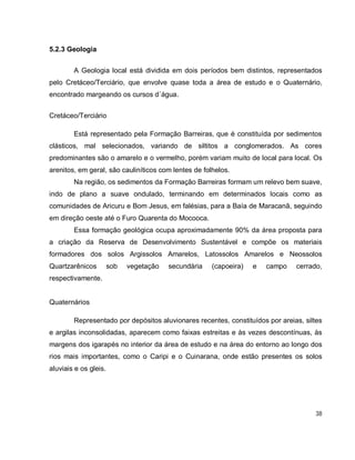 38
5.2.3 Geologia
A Geologia local está dividida em dois períodos bem distintos, representados
pelo Cretáceo/Terciário, que envolve quase toda a área de estudo e o Quaternário,
encontrado margeando os cursos d´água.
Cretáceo/Terciário
Está representado pela Formação Barreiras, que é constituída por sedimentos
clásticos, mal selecionados, variando de siltitos a conglomerados. As cores
predominantes são o amarelo e o vermelho, porém variam muito de local para local. Os
arenitos, em geral, são cauliníticos com lentes de folhelos.
Na região, os sedimentos da Formação Barreiras formam um relevo bem suave,
indo de plano a suave ondulado, terminando em determinados locais como as
comunidades de Aricuru e Bom Jesus, em falésias, para a Baía de Maracanã, seguindo
em direção oeste até o Furo Quarenta do Mocooca.
Essa formação geológica ocupa aproximadamente 90% da área proposta para
a criação da Reserva de Desenvolvimento Sustentável e compõe os materiais
formadores dos solos Argissolos Amarelos, Latossolos Amarelos e Neossolos
Quartzarênicos sob vegetação secundária (capoeira) e campo cerrado,
respectivamente.
Quaternários
Representado por depósitos aluvionares recentes, constituídos por areias, siltes
e argilas inconsolidadas, aparecem como faixas estreitas e às vezes descontínuas, às
margens dos igarapés no interior da área de estudo e na área do entorno ao longo dos
rios mais importantes, como o Caripi e o Cuinarana, onde estão presentes os solos
aluviais e os gleis.
 