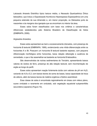 40
Latossolo Amarelo Distrófico típico textura média, o Neossolo Quartzarênico Órtico
latossólico, que incluiu o Espodossolo Humilúvico Hiperespesso Espessarênico em uma
pequena extensão da sua dimensão e, em menor proporção, os Gleissolos junto às
nascentes e às margens dos igarapés que se encontram no interior da área.
Esses solos foram classificados com base nos critérios e características
diferenciais estabelecidos pelo Sistema Brasileiro de Classificação de Solos
(EMBRAPA, 2006).
Argissolos Amarelos
Esses solos apresentam-se bem a excessivamente drenados, com presença de
horizonte B textural (EMBRAPA, 1999), evidenciando uma nítida diferenciação entre os
horizontes A e Bt. Possuem um horizonte B textural bastante espesso, com pequena
diferenciação morfológica entre horizontes, baixa relação silte/argila e ausência de
cerosidade, o que o faz assemelhar-se bastante ao horizonte B latossólico.
São desenvolvidos de rochas sedimentares do Terciário, apresentando baixos
valores de óxidos de ferro, presença de alta relação textural, sem movimentação de
argila ao longo do perfil.
Esses solos apresentam reação fortemente ácida com valores de pH em H2O,
variando de 4,8 a 5,3, com baixos teores de soma de bases, baixa capacidade de troca
de cátions, além de baixos teores de matéria orgânica e fósforo assimilável.
Essa classe de solos é encontrada regionalmente em áreas com relevo plano,
suave ondulado e raramente em ondulado, sob vegetação equatorial subperenifólia
secundária (capoeira) (Figura 10).
 
