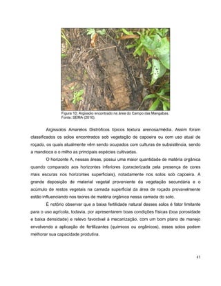41
Figura 10: Argissolo encontrado na área do Campo das Mangabas.
Fonte: SEMA (2010).
Argissolos Amarelos Distróficos típicos textura arenosa/média. Assim foram
classificados os solos encontrados sob vegetação de capoeira ou com uso atual de
roçado, os quais atualmente vêm sendo ocupados com culturas de subsistência, sendo
a mandioca e o milho as principais espécies cultivadas.
O horizonte A, nessas áreas, possui uma maior quantidade de matéria orgânica
quando comparado aos horizontes inferiores (caracterizada pela presença de cores
mais escuras nos horizontes superficiais), notadamente nos solos sob capoeira. A
grande deposição de material vegetal proveniente da vegetação secundária e o
acúmulo de restos vegetais na camada superficial da área de roçado provavelmente
estão influenciando nos teores de matéria orgânica nessa camada do solo.
É notório observar que a baixa fertilidade natural desses solos é fator limitante
para o uso agrícola, todavia, por apresentarem boas condições físicas (boa porosidade
e baixa densidade) e relevo favorável à mecanização, com um bom plano de manejo
envolvendo a aplicação de fertilizantes (químicos ou orgânicos), esses solos podem
melhorar sua capacidade produtiva.
 