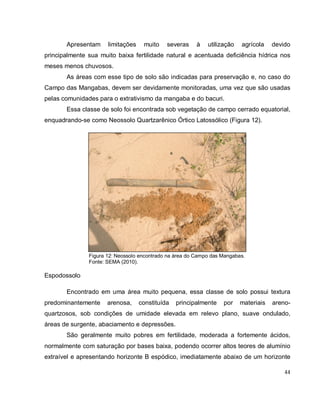 44
Apresentam limitações muito severas à utilização agrícola devido
principalmente sua muito baixa fertilidade natural e acentuada deficiência hídrica nos
meses menos chuvosos.
As áreas com esse tipo de solo são indicadas para preservação e, no caso do
Campo das Mangabas, devem ser devidamente monitoradas, uma vez que são usadas
pelas comunidades para o extrativismo da mangaba e do bacuri.
Essa classe de solo foi encontrada sob vegetação de campo cerrado equatorial,
enquadrando-se como Neossolo Quartzarênico Órtico Latossólico (Figura 12).
Figura 12: Neossolo encontrado na área do Campo das Mangabas.
Fonte: SEMA (2010).
Espodossolo
Encontrado em uma área muito pequena, essa classe de solo possui textura
predominantemente arenosa, constituída principalmente por materiais areno-
quartzosos, sob condições de umidade elevada em relevo plano, suave ondulado,
áreas de surgente, abaciamento e depressões.
São geralmente muito pobres em fertilidade, moderada a fortemente ácidos,
normalmente com saturação por bases baixa, podendo ocorrer altos teores de alumínio
extraível e apresentando horizonte B espódico, imediatamente abaixo de um horizonte
 