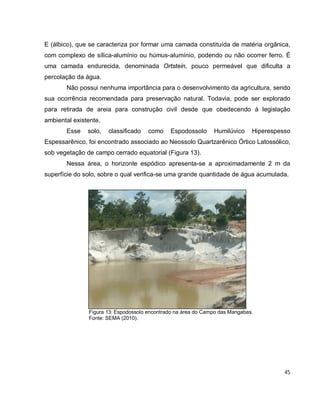45
E (álbico), que se caracteriza por formar uma camada constituída de matéria orgânica,
com complexo de sílica-alumínio ou húmus-alumínio, podendo ou não ocorrer ferro. É
uma camada endurecida, denominada Ortstein, pouco permeável que dificulta a
percolação da água.
Não possui nenhuma importância para o desenvolvimento da agricultura, sendo
sua ocorrência recomendada para preservação natural. Todavia, pode ser explorado
para retirada de areia para construção civil desde que obedecendo à legislação
ambiental existente.
Esse solo, classificado como Espodossolo Humilúvico Hiperespesso
Espessarênico, foi encontrado associado ao Neossolo Quartzarênico Órtico Latossólico,
sob vegetação de campo cerrado equatorial (Figura 13).
Nessa área, o horizonte espódico apresenta-se a aproximadamente 2 m da
superfície do solo, sobre o qual verifica-se uma grande quantidade de água acumulada.
Figura 13: Espodossolo encontrado na área do Campo das Mangabas.
Fonte: SEMA (2010).
 