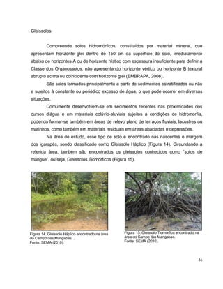 46
Gleissolos
Compreende solos hidromórficos, constituídos por material mineral, que
apresentam horizonte glei dentro de 150 cm da superfície do solo, imediatamente
abaixo de horizontes A ou de horizonte hístico com espessura insuficiente para definir a
Classe dos Organossolos, não apresentando horizonte vértico ou horizonte B textural
abrupto acima ou coincidente com horizonte glei (EMBRAPA, 2006).
São solos formados principalmente a partir de sedimentos estratificados ou não
e sujeitos à constante ou periódico excesso de água, o que pode ocorrer em diversas
situações.
Comumente desenvolvem-se em sedimentos recentes nas proximidades dos
cursos d’água e em materiais colúvio-aluviais sujeitos a condições de hidromorfia,
podendo formar-se também em áreas de relevo plano de terraços fluviais, lacustres ou
marinhos, como também em materiais residuais em áreas abaciadas e depressões.
Na área de estudo, esse tipo de solo é encontrado nas nascentes e margem
dos igarapés, sendo classificado como Gleissolo Háplico (Figura 14). Circundando a
referida área, também são encontrados os gleissolos conhecidos como “solos de
mangue”, ou seja, Gleissolos Tiomórficos (Figura 15).
Figura 15: Gleissolo Tiomórfico encontrado na
área do Campo das Mangabas.
Fonte: SEMA (2010).
Figura 14: Gleissolo Háplico encontrado na área
do Campo das Mangabas. .
Fonte: SEMA (2010).
 