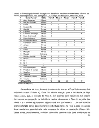66
Tabela 3 - Composição florística da vegetação de cerrado nas áreas inventariadas, situadas no
interior da área proposta para a criação da UC, Campo das Mangabas, Maracanã, Pará.
N Nome Popular Hábito Flora 1 Flora 2 Flora 3 Flora 4 Flora 5
1 Ajuru-do-campo Arbusto X
2 Araçá-do-campo Arbusto X X X
3 Bacuri Árvore X X X X X
4 Barbatimão Árvore X X X X
5 Caimbé Árvore X X X X X
6 Cajueiro Árvore X
7 Caneleira-do-campo Arbusto X X
8 Fruta-de-arancuã Arbusto X
9 Fruta-de-lagarto Arbusto X
10 Fruteira-do-campo Arbusto X X
11 Goiaba-do-campo Árvore X X X X
12 Jarana Árvore X X X
13 Jutaí Árvore X
14 Lacre Árvore X X
15 Mangaba Árvore X X X X X
16 Mucajá Palmeira X
17 Murta-do-campo Árvore X X X X X
18 Muruci Árvore X X X X X
19 NI-1 - X X X X
20 NI-2 - X
21 NI-3 - X
22 Pau-de-muquem Arbusto X
23 Perpétua-do-campo Arbusto X X X X
24 Sarafina Arbusto X X X X X
25 Sucuuba Árvore X X X X X
26 Tinteira-do-campo Árvore X
27 Tucumã Palmeira X X
TOTAL GERAL - 16 15 12 15 17
Fonte: SEMA (2011).
Juntando-se as cinco áreas do levantamento, apenas a Flora 5 não apresentou
indivíduos mortos (Tabela 4). Esse fato chama atenção para a incidência de fogo
nestas áreas, que, a exceção da Flora 5, tem ocorrido com frequência. Em ordem
decrescente de proporção de indivíduos mortos, observa-se a Flora 5, seguida das
Floras 2 e 4, ambas equivalentes, depois Flora 3 e, por último a 1. Um fato especial
chamou atenção para o baixo número de indivíduos mortos na Flora 2, essa foi a única
área inventariada caracterizada pela presença de trilhas na vegetação (Figura 34).
Essas trilhas, provavelmente, serviram como uma barreira física para proliferação do
 