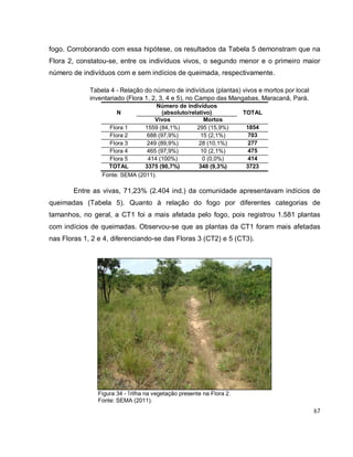 67
fogo. Corroborando com essa hipótese, os resultados da Tabela 5 demonstram que na
Flora 2, constatou-se, entre os indivíduos vivos, o segundo menor e o primeiro maior
número de indivíduos com e sem indícios de queimada, respectivamente.
Tabela 4 - Relação do número de indivíduos (plantas) vivos e mortos por local
inventariado (Flora 1, 2, 3, 4 e 5), no Campo das Mangabas, Maracanã, Pará.
N
Número de indivíduos
(absoluto/relativo) TOTAL
Vivos Mortos
Flora 1 1559 (84,1%) 295 (15,9%) 1854
Flora 2 688 (97,9%) 15 (2,1%) 703
Flora 3 249 (89,9%) 28 (10,1%) 277
Flora 4 465 (97,9%) 10 (2,1%) 475
Flora 5 414 (100%) 0 (0,0%) 414
TOTAL 3375 (90,7%) 348 (9,3%) 3723
Fonte: SEMA (2011).
Entre as vivas, 71,23% (2.404 ind.) da comunidade apresentavam indícios de
queimadas (Tabela 5). Quanto à relação do fogo por diferentes categorias de
tamanhos, no geral, a CT1 foi a mais afetada pelo fogo, pois registrou 1.581 plantas
com indícios de queimadas. Observou-se que as plantas da CT1 foram mais afetadas
nas Floras 1, 2 e 4, diferenciando-se das Floras 3 (CT2) e 5 (CT3).
Figura 34 - Trilha na vegetação presente na Flora 2.
Fonte: SEMA (2011).
 