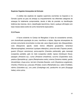69
Espécies Vegetais Ameaçadas de Extinção
A análise das espécies de vegetais superiores ocorrentes na Capoeira e no
Cerrado quanto ao grau de ameaça ou enquadramento nas diferentes categorias de
ameaças foi totalmente comprometida, devido à falta de precisão na identificação
botânica das mesmas, isto é, classificação taxonômica. Assim, qualquer afirmação com
base nesses dados serão de cunho meramente especulativo.
5.3.2 Fauna
A fauna existente no Campo de Mangabas é típica do ecossistema cerrado,
com diversificada população de aves, mamíferos e répteis. Algumas etnoespécies de
animais comumente encontrados na área são: paca (Agouti paca), tatu (Dasypodidae),
cutia (Dasyprocta agouti), veado branco (Mazama gouazobira), tamanduá
(Mymercophagidae), tamanduaí (cyclopes didactylus), porco-do-mato (Tayassu pecari),
guaxini (Procyon cancrivorus), porco-espinho (Coendou prehensilis), gato maracajá
(Leopardus pardalis), gato do mato (Leopardus wiedii), raposa (Cerdocyon thous),
papagaio (Amazona sp.), curica (Amazona amazônica), sururina (Crypturellus soui),
patativa (Sporophila sp.), pipira (Ramphocelus carbo), siriema (Cariama cristata), gavião
(Accipitridae), chupa arroz, tem-tem (Coereba flaveola), curió (Oryzoborus angolensis),
inhambu (Tinamus sp.), pica-pau (Picidae), tucano (Ramphastos sp.), sabiá (Turdidae),
rolinha (Columbina sp.), anu preto (Crotophaga ani), pavãozinho do pará (Eurypyga
helias), entre outros.
 