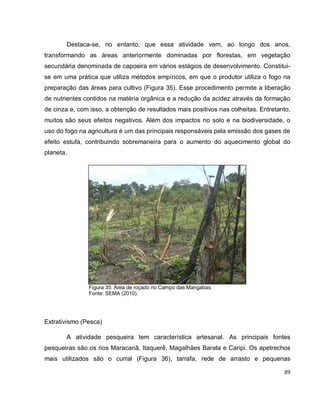 89
Destaca-se, no entanto, que essa atividade vem, ao longo dos anos,
transformando as áreas anteriormente dominadas por florestas, em vegetação
secundária denominada de capoeira em vários estágios de desenvolvimento. Constitui-
se em uma prática que utiliza métodos empíricos, em que o produtor utiliza o fogo na
preparação das áreas para cultivo (Figura 35). Esse procedimento permite a liberação
de nutrientes contidos na matéria orgânica e a redução da acidez através da formação
de cinza e, com isso, a obtenção de resultados mais positivos nas colheitas. Entretanto,
muitos são seus efeitos negativos. Além dos impactos no solo e na biodiversidade, o
uso do fogo na agricultura é um das principais responsáveis pela emissão dos gases de
efeito estufa, contribuindo sobremaneira para o aumento do aquecimento global do
planeta.
Figura 35: Área de roçado no Campo das Mangabas.
Fonte: SEMA (2010).
Extrativismo (Pesca)
A atividade pesqueira tem característica artesanal. As principais fontes
pesqueiras são os rios Maracanã, Itaquerê, Magalhães Barata e Caripi. Os apetrechos
mais utilizados são o curral (Figura 36), tarrafa, rede de arrasto e pequenas
 