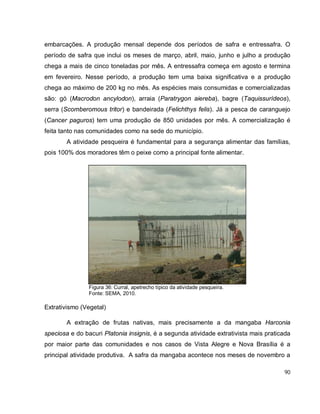 90
embarcações. A produção mensal depende dos períodos de safra e entressafra. O
período de safra que inclui os meses de março, abril, maio, junho e julho a produção
chega a mais de cinco toneladas por mês. A entressafra começa em agosto e termina
em fevereiro. Nesse período, a produção tem uma baixa significativa e a produção
chega ao máximo de 200 kg no mês. As espécies mais consumidas e comercializadas
são: gó (Macrodon ancylodon), arraia (Paratrygon aiereba), bagre (Taquissurídeos),
serra (Scomberomous tritor) e bandeirada (Felichthys felis). Já a pesca de caranguejo
(Cancer paguros) tem uma produção de 850 unidades por mês. A comercialização é
feita tanto nas comunidades como na sede do município.
A atividade pesqueira é fundamental para a segurança alimentar das famílias,
pois 100% dos moradores têm o peixe como a principal fonte alimentar.
Figura 36: Curral, apetrecho típico da atividade pesqueira.
Fonte: SEMA, 2010.
Extrativismo (Vegetal)
A extração de frutas nativas, mais precisamente a da mangaba Harconia
speciosa e do bacuri Platonia insignis, é a segunda atividade extrativista mais praticada
por maior parte das comunidades e nos casos de Vista Alegre e Nova Brasília é a
principal atividade produtiva. A safra da mangaba acontece nos meses de novembro a
 