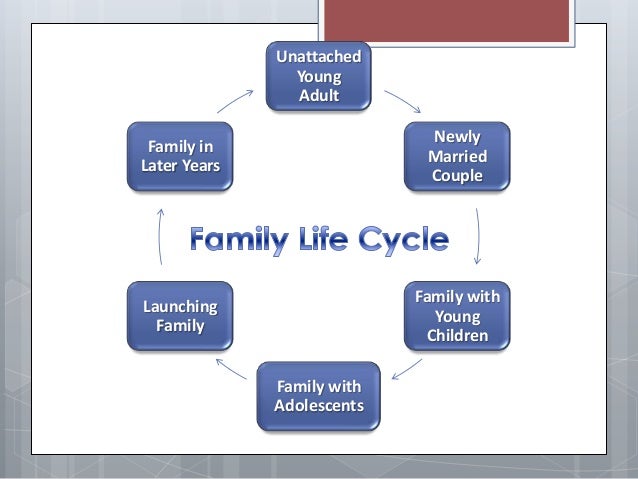 2013 family as a unit of care