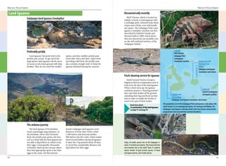 Great Introduction to Galapagos | PDF