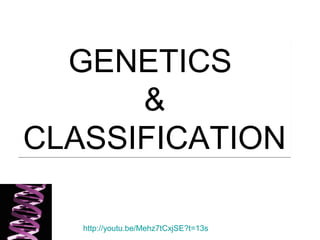 GENETICS
&
CLASSIFICATION
GENETICS
&
CLASSIFICATION
http://youtu.be/Mehz7tCxjSE?t=13s
 