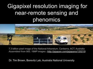 Gigapixel resolution imaging for
near-remote sensing and
phenomics
7.3 billion pixel image of the National Arboretum, Canberra, ACT, Australia
Assembled from 900, 18MP images. (http://gigapan.com/gigapans/120215)
Magpies (1.3km) ANU resaerch forest (500m)
Dr. Tim Brown, Borevitz Lab, Australia National University
 