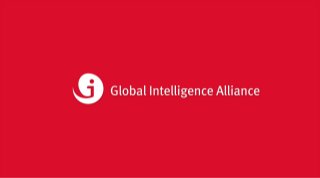 2013 Global Market Intelligence Survey