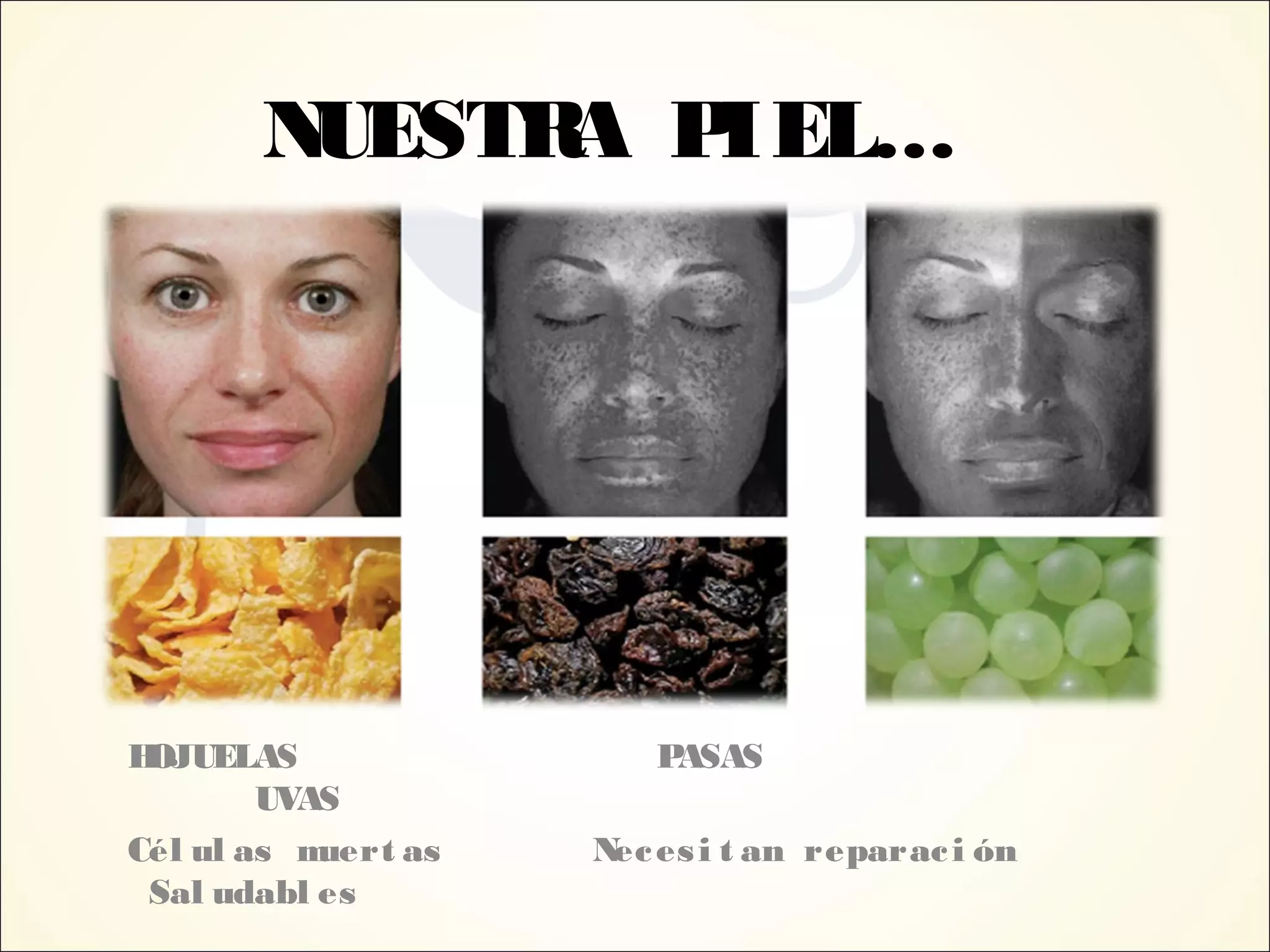 NUESTRA PIEL…
HOJUELAS PASAS
UVAS
Cél ul as muert as Necesi t an reparaci ón
Sal udabl es
 