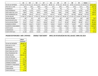 13

14

FECHA DE ENTRADA
14-nov-12 14-nov-12
PESO DE EL LOTE
813
602
# ANIMALES
28
28
PESO PROMEDIO
29.04
21.50
PESO FINAL DEL LOTE
2964
2776
PESO PROMEDIO FIN
105.86
99.14
FECHA SALIDA
11-feb-13 17-feb-13
DIAS DE PRUEBA
89
95
KILOS HECHOS LOTE
2151
2174
KILOS HECHOS PROM
76.82
77.64
GANANCIA DIARIA
0.863
0.817
ALIMENTO COMSUMIDO
5673
5388
COSTO ALIM
5.83
5.85
CONVERSION
2.64
2.48
COSTO POR KILO
15.38
14.50

PRUEBA EN PORCINOS 100% LIPOFEED
talent
lechones
FECHA DE ENTRADA
06-dic-12
PESO DE EL LOTE
191.5
# ANIMALES
24
PESO PROMEDIO
7.98
PESO FINAL DEL LOTE
503
PESO PROMEDIO FIN
20.96
FECHA SALIDA
10-ene-13
DIAS DE PRUEBA
35
KILOS HECHOS LOTE
311.5
KILOS HECHOS PROM
12.98
GANANCIA DIARIA
0.371
ALIMENTO CONSUMIDO
490.5
COSTO ALIM
8.8
CONVERSION
1.57
COSTO POR KILO
13.86

15

17

16

23

19

23-nov-12
830
30
27.67
3034
101.13
27-feb-13
96
2204
73.47
0.765
5921
5.65
2.69
15.18

06-dic-12
418
14
29.86
1550
110.71
05-mar-13
89
1132
80.86
0.909
3210
5.59
2.84
15.85

06-dic-12
531
30
17.70
3050
101.67
09-mar-13
93
2519
83.97
0.903
6353
5.77
2.52
14.55

27-dic-12
382
18
21.22
1681
93.99
21-mar-13
84
1299
72.17
0.859
3250.5
5.66
2.50
14.16

20-dic-12
476
27
17.63
2730
101.11
04-abr-13
105
2254
83.48
0.795
5566.5
5.66
2.47
13.98

GRANJA "SAN ISIDRO"

18

21

talent

20-dic-12 14-ene-13 10-ene-13
653
615
503
29
25
23
22.52
24.60
21.87
2989
2617
2655
103.38
104.68
115.43
27-mar-13 13-abr-13 20-abr-13
97
89
100
2345
2002
2152
80.86
80.08
93.57
0.834
0.9
0.936
5953
4988.5
5513.2
5.66
5.59
5.61
2.54
2.49
2.56
14.37
13.93
14.37

MPIO. DE IXTLAHUACAN DEL RIO, JALISCO ABRIL DEL 2013

promedio
582.30
25.20
23.36
2604.6
103.71
93.7
2023.2
80.292
0.8581
5181.67
5.687
2.57
14.63

 