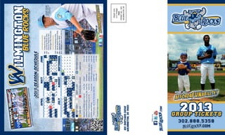 2013 Blue Rocks Group Sales Brochure