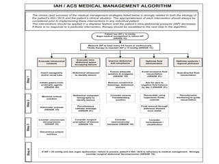 2013 Guidelines SCA.pdf