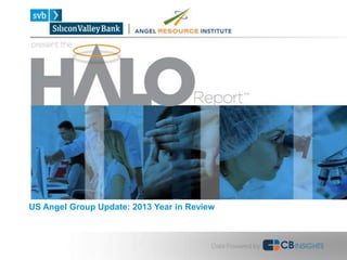 US Angel Group Update: 2013 Year in Review
 
