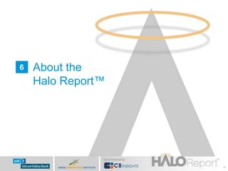 2013 Year-End Halo Report 