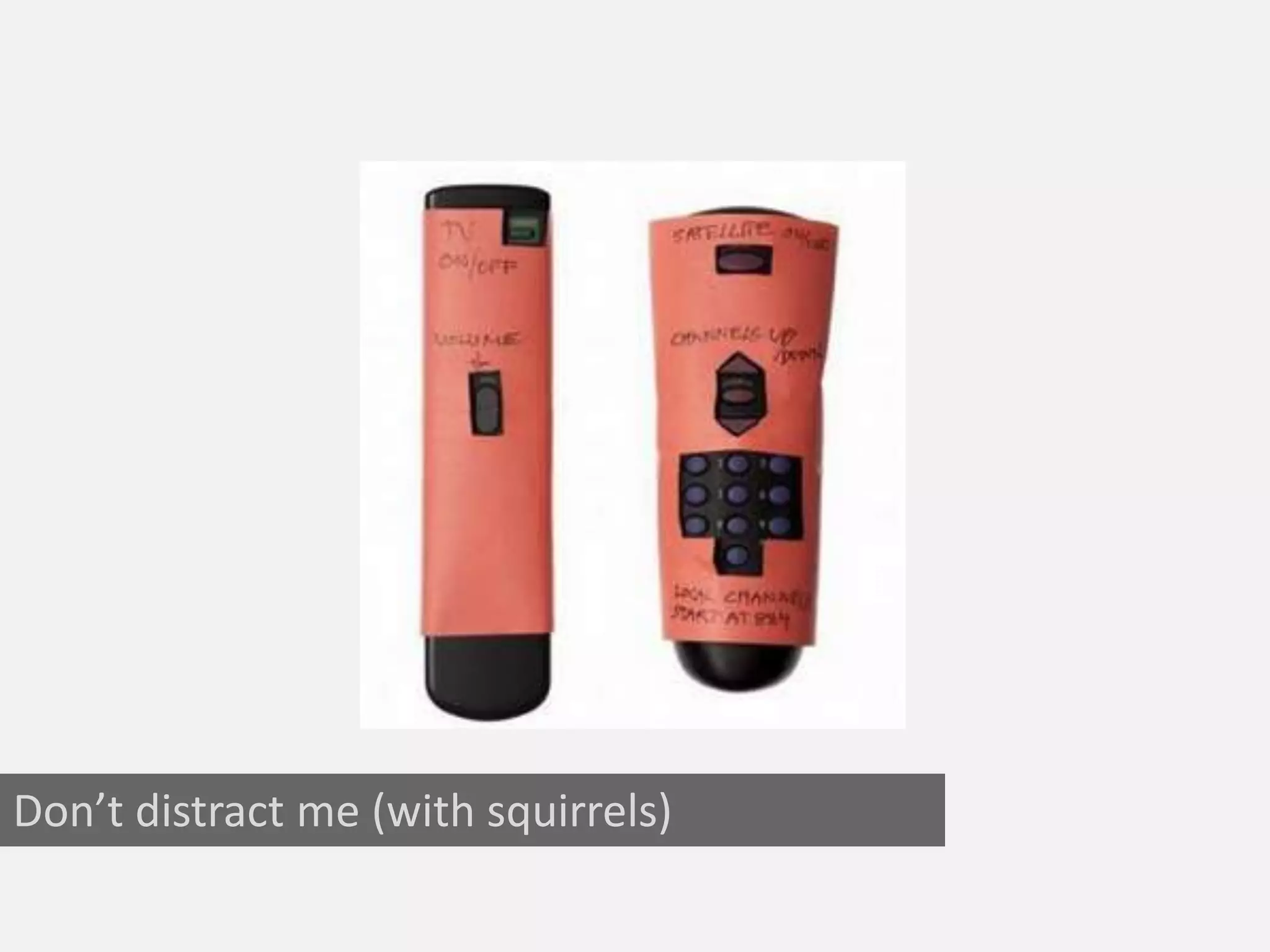 Don’t distract me (with squirrels)
 