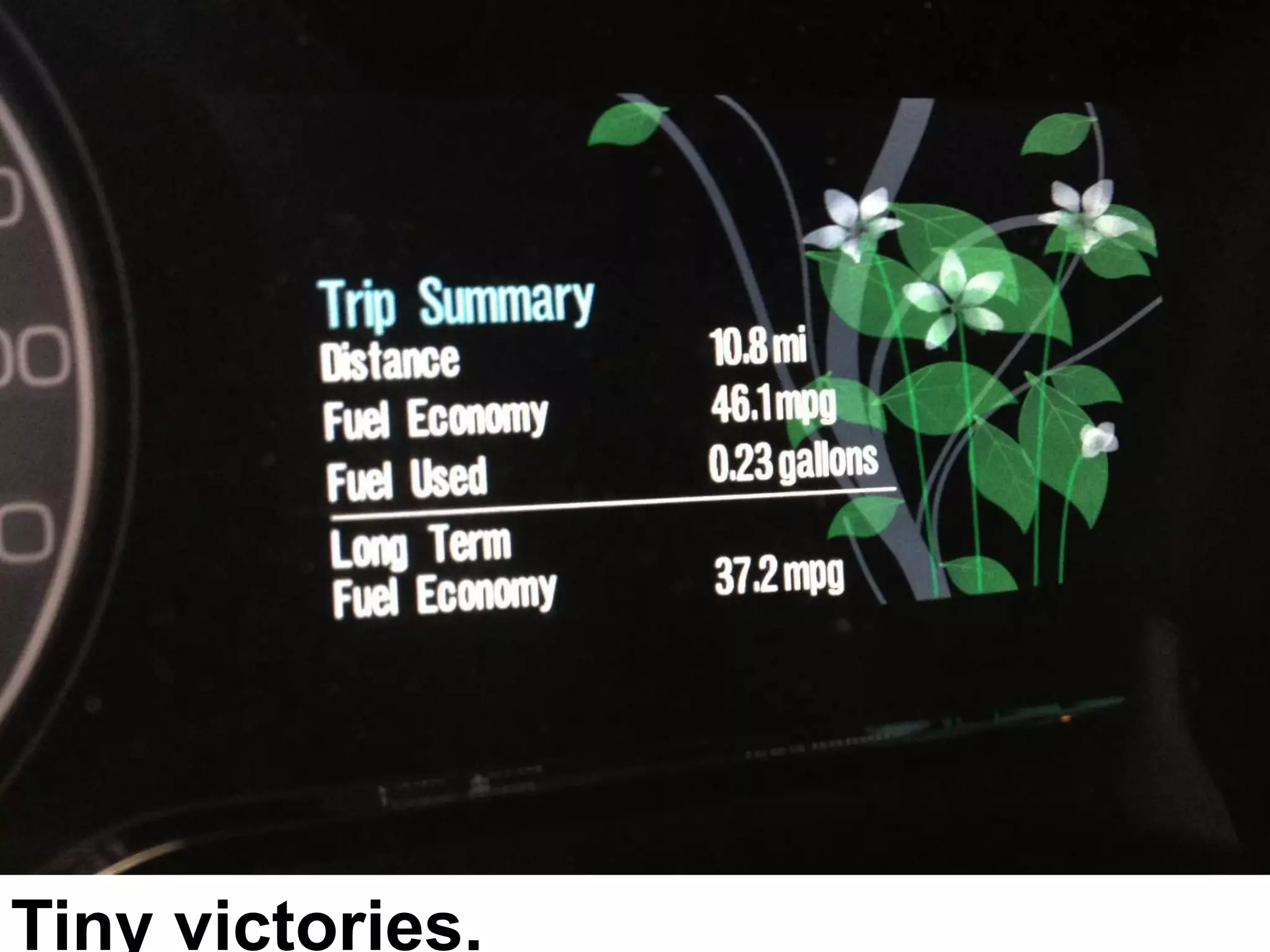 Visible
Progress
Tiny victories.
 