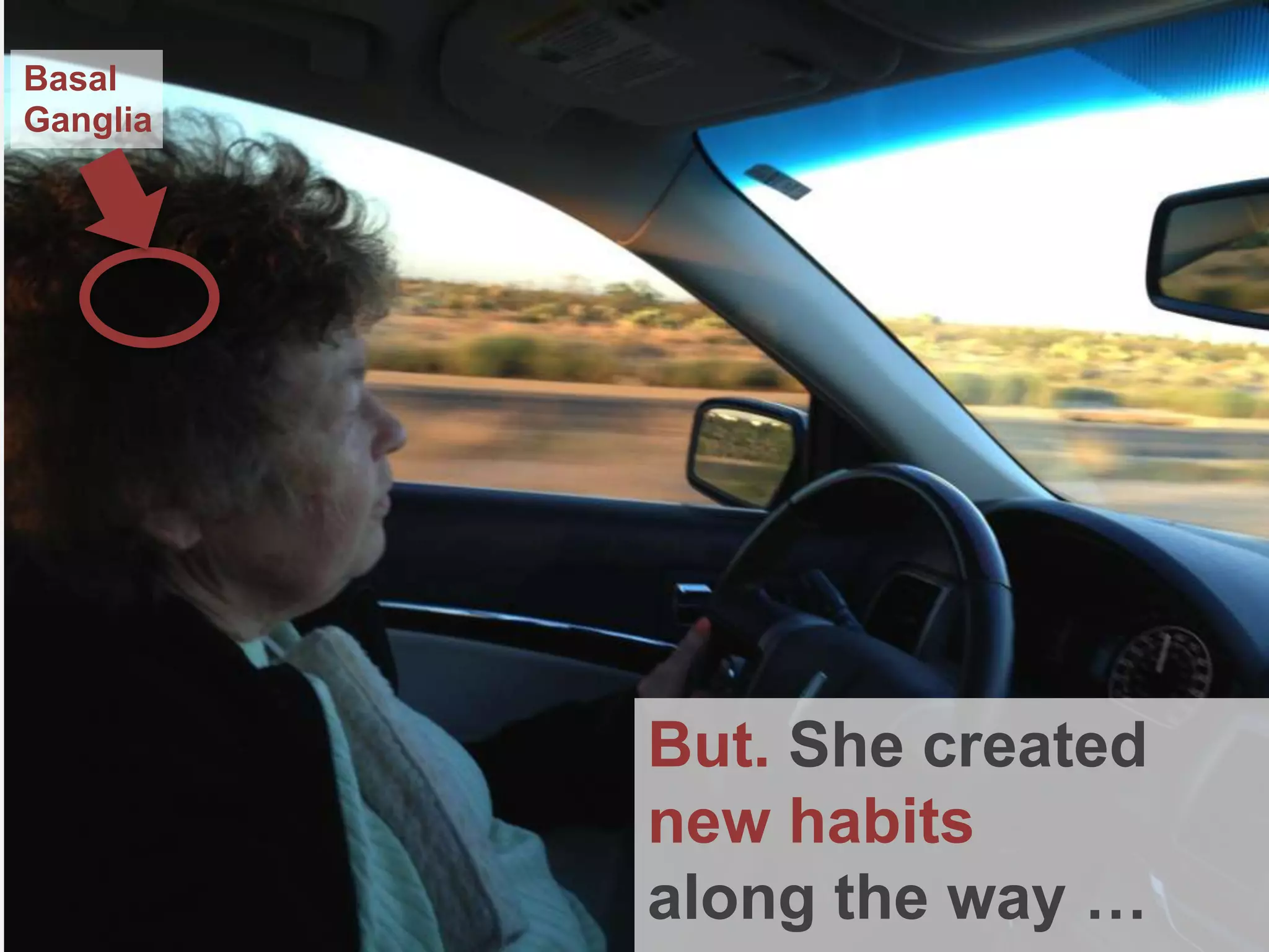 But. She created
new habits
along the way …
Basal
Ganglia
 