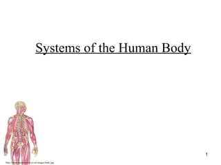 http://www.muslimworld.co.uk/images/body.jpg
1
Systems of the Human Body
 