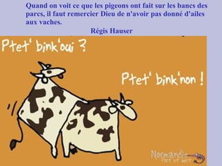 Quand on voit ce que les pigeons ont fait sur les bancs des
parcs, il faut remercier Dieu de n'avoir pas donné d'ailes
aux vaches.
Régis Hauser
 