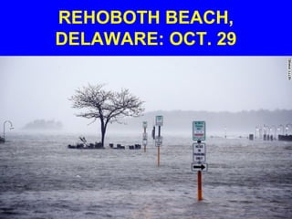 REHOBOTH BEACH,
DELAWARE: OCT. 29
 