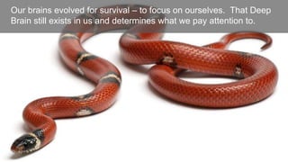 Our brains evolved for survival – to focus on ourselves. That Deep
Brain still exists in us and determines what we pay attention to.

 