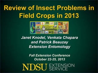 Review of Insect Problems in
Field Crops in 2013

Janet Knodel, Venkata Chapara
and Patrick Beauzay
Extension Entomology
Fall Extension Conference
October 22-25, 2013

 