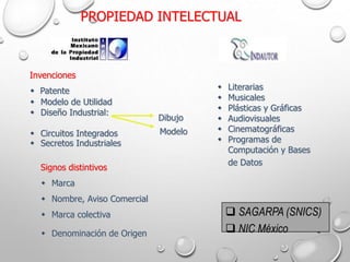 4
Invenciones
 Patente
 Modelo de Utilidad
 Diseño Industrial:
 Circuitos Integrados
 Secretos Industriales
Dibujo
Modelo
Signos distintivos
 Marca
 Nombre, Aviso Comercial
 Marca colectiva
 Denominación de Origen
 Literarias
 Musicales
 Plásticas y Gráficas
 Audiovisuales
 Cinematográficas
 Programas de
Computación y Bases
de Datos
PROPIEDAD INTELECTUAL
 SAGARPA (SNICS)
 NIC México
 