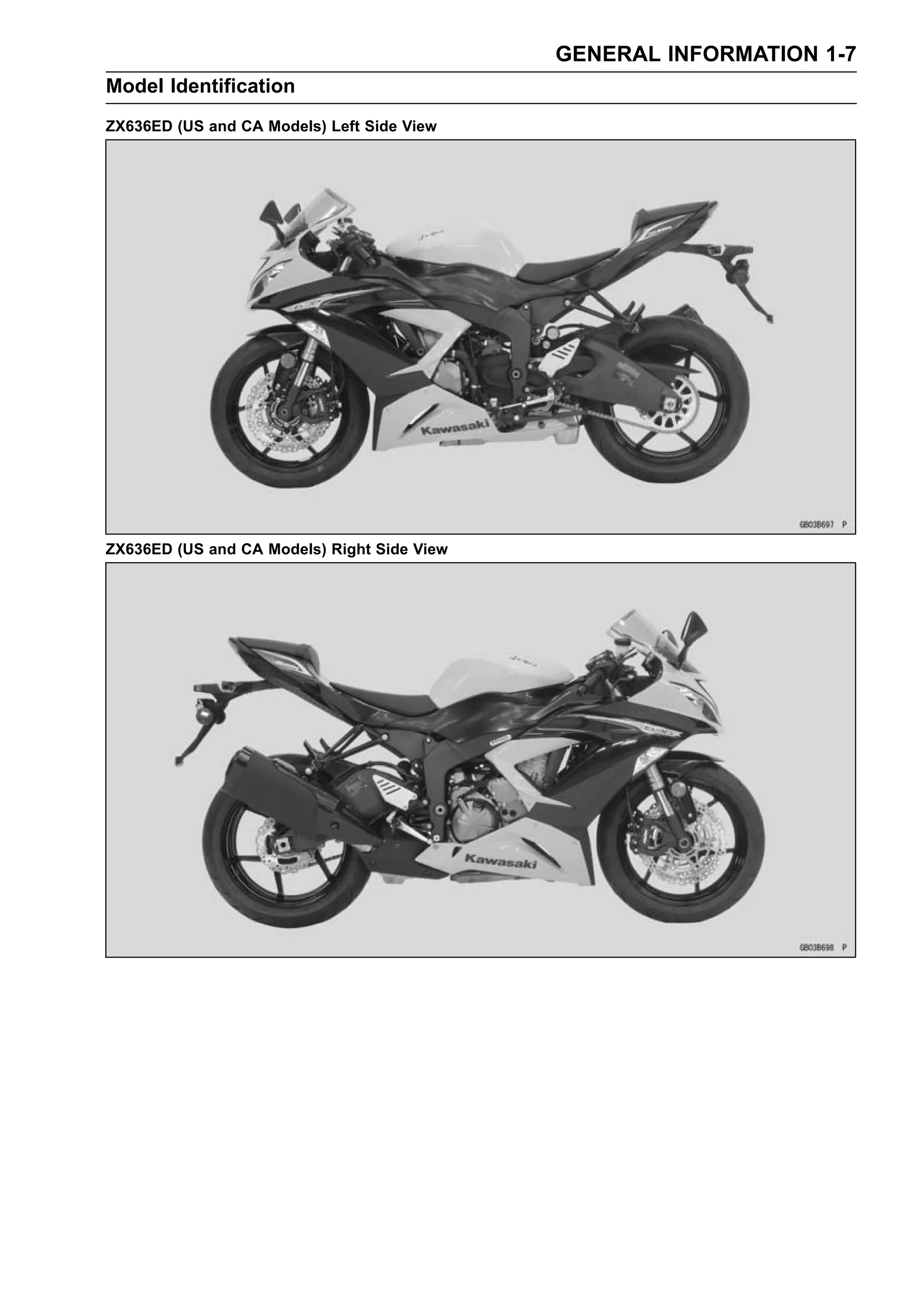 ❆ページ Anti-Raf1 antibody [N3C3] (GTX107763) | GeneTex