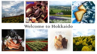 Welcome to Hokkaido
 