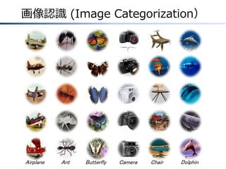 画像認識 (Image Categorization）

Airplane

Ant

Butterfly

Camera

Chair

Dolphin

 