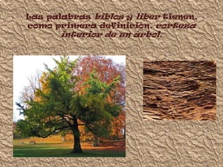 Las palabras biblos y liber tienen,
como primera definición, corteza
       interior de un árbol.
 