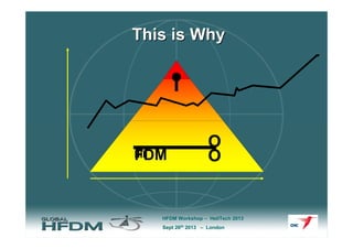 This is Why

IIII
FDM

O
O

HFDM Workshop – HeliTech 2013
Sept 26th 2013 – London

 