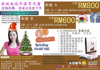 2013 merry christmas promotion