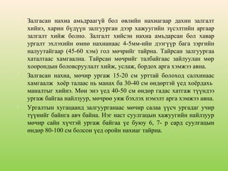 





Залгасан нахиа амьдраагүй бол өвлийн нахиагаар дахин залгалт
хийнэ, харин бүдүүн залгуурган дээр хажуугийн зүсэлтийн аргаар
залгалт хийж болно. Залгалт хийсэн нахиа амьдарсан бол хавар
ургалт эхлэхийн өмнө нахианаас 4-5мм-ийн дээгүүр бага зэргийн
налуутайгаар (45-60 хэм) гол мөчрийг тайрна. Тайрсан залгуургаа
хаталтаас хамгаална. Тайрсан мөчрийг талбайгаас зайлуулан мөр
хоорондын боловсруулалт хийж, услаж, бордох арга хэмжээ авна.
Залгасан нахиа, мөчир ургаж 15-20 см урттай болоход салхинаас
хамгаалж хоёр талаас нь манах ба 30-40 см өндөртэй үед хоёрдахь
маналтыг хийнэ. Мөн энэ үед 40-50 см өндөр гадас хатгаж түүндээ
ургаж байгаа найлзуур, мөчрөө уяж бэхлэх нэмэлт арга хэмжээ авна.
Ургалтын хугацаанд залгуурганаас мөчир салаа үүсч ургадаг учир
түүнийг байнга авч байна. Нэг наст суулгацын хажуугийн найлзуур
мөчир сайн хүчтэй ургаж байгаа үе буюу 6, 7- р сард суулгацын
өндөр 80-100 см болсон үед оройн нахиаг тайрна.

 