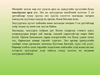 





Мөчрийг залгах өөр нэг үндсэн арга нь хажуугийн зүсэлтийн буюу
наалдуулах арга юм. Энэ нь залгуургын шилбэний холтсыг 3 см
урттайгаар тууш зүсээд энэ зүссэн хэсэгтээ залгаадас мөчрөө
хавчуулж суулгаад гадуур нь ороож, боож бөхлөж өгнө.
Залгуурганд зүсэлт хийхийн өмнө залгаадас мөчрөө 3 см урттайгаар
хоёр талаас нь нимгэлж зүссэн байна.
Залгаадас, залгуурга хоёрын урт болон гадаргын хэмжээ адил,
хоорондуураа ямарч зай завсар, хөндий гарахгүйгээр таарч байх
ёстой. Ороож боосныхоо дараа цэцэрлэгийн тос буюу удаан хатах
тос, баримлын шавар зэргийг түрхэнэ. Энэ аргаар үржүүлгийн
талбарт олон ургамлыг залгахад бүтээмж багатай, хүнд гэж үздэг.
Өөрөөр хэлбэл олон төрлийн хөдөлгөөн хийдгийн дээр ялангуяа нас
хэтэрсэн залгуурган дээр хийхэд хэцүү (холтос нъ моджиж
хатуурсан) байдаг.

 