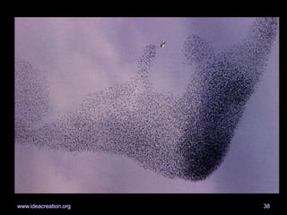 38www.ideacreation.org
 