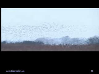 39www.ideacreation.org
 